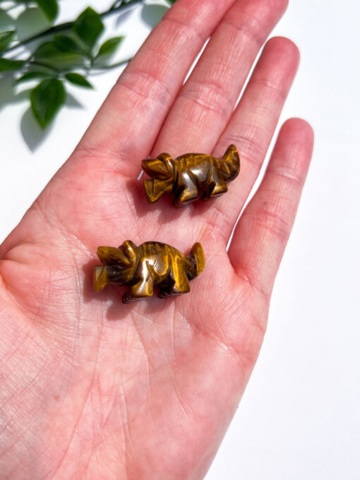 Small Tigers Eye Triceratops Carving