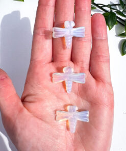 Opalite dragonfly