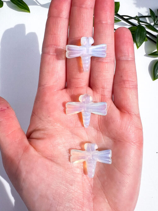 Opalite dragonfly