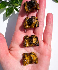 Small Tigers Eye Frog Carving