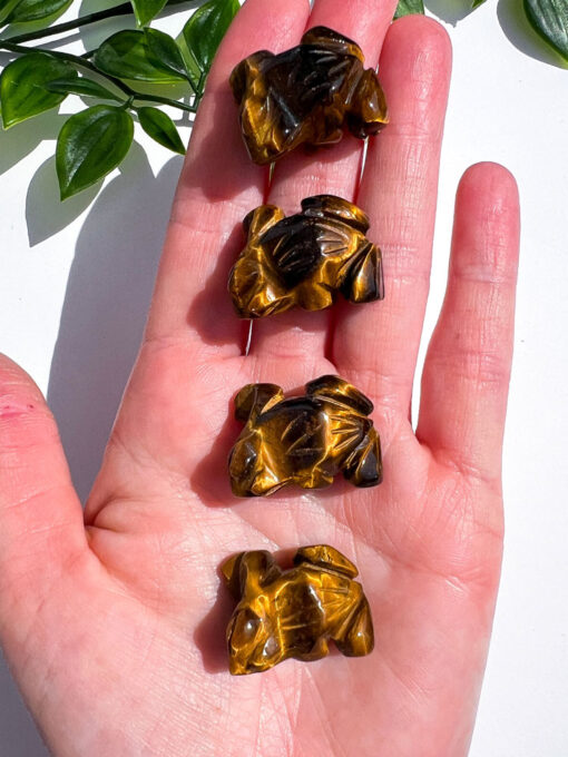 Small Tigers Eye Frog Carving