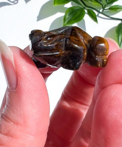 Small Tigers Eye Frog Carving