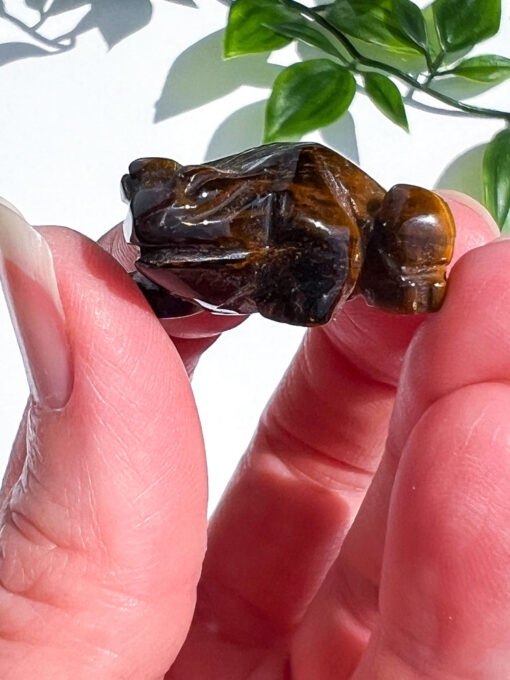 Small Tigers Eye Frog Carving