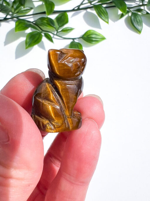 Small Tigers Eye Cat Carving