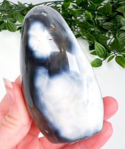 Orca Agate freeform