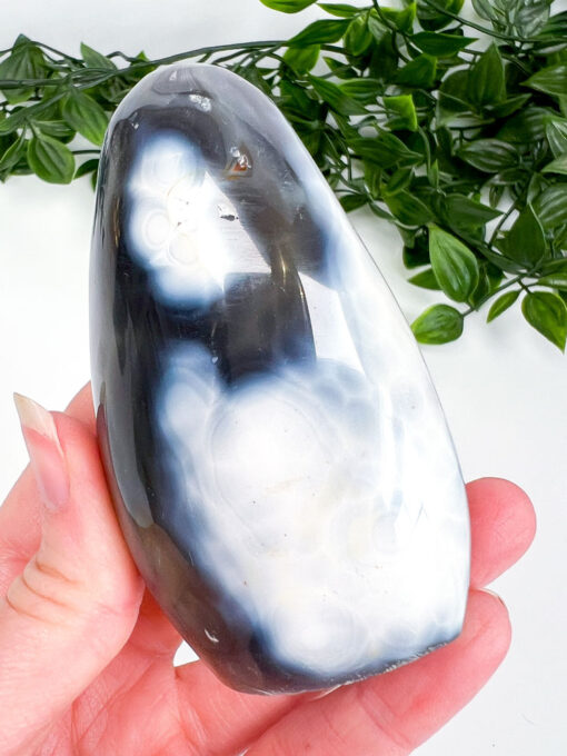 Orca Agate freeform