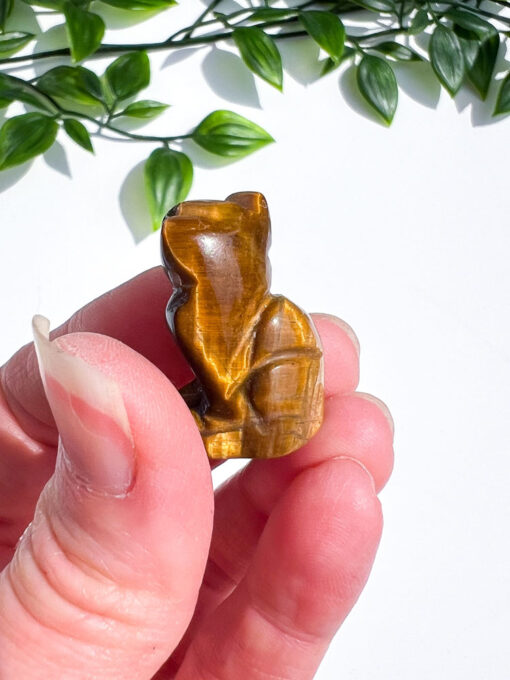 Small Tigers Eye Cat Carving