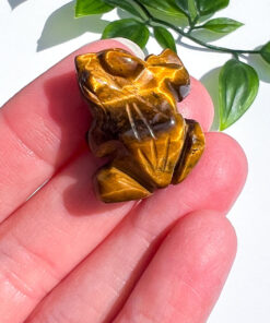 Small Tigers Eye Frog Carving