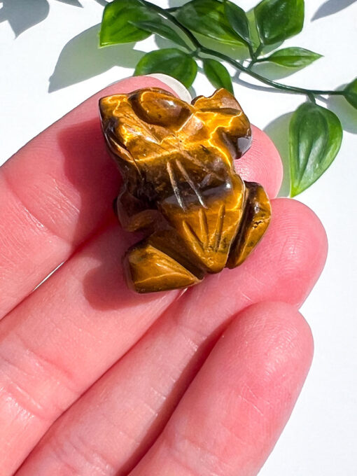 Small Tigers Eye Frog Carving