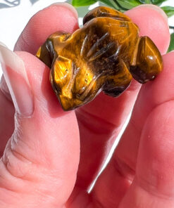 Small Tigers Eye Frog Carving