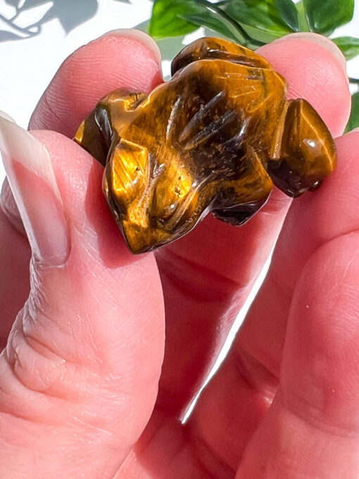 Small Tigers Eye Frog Carving