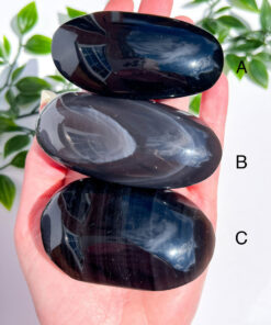 Obsidian palm