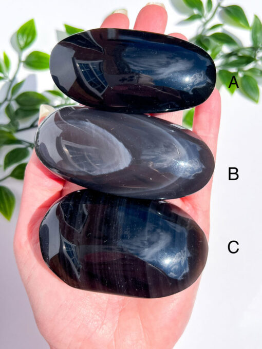 Obsidian palm