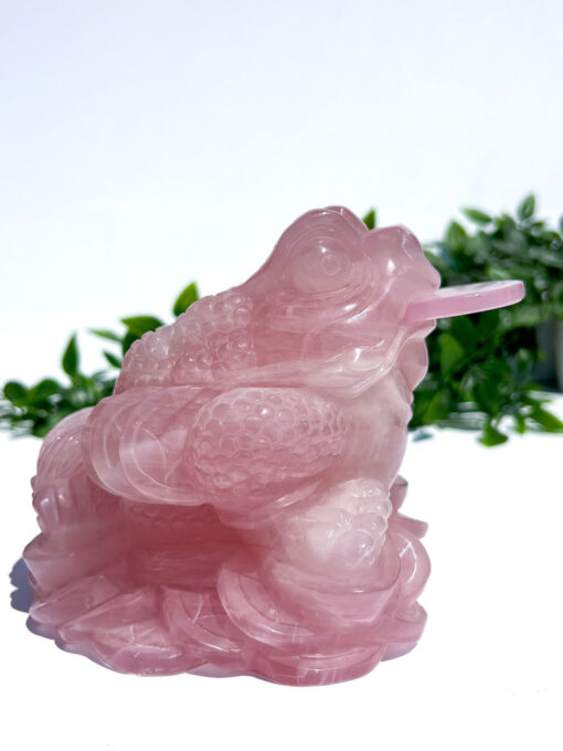 Large Rose Quartz Money Frog Carving