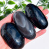 Obsidian palm