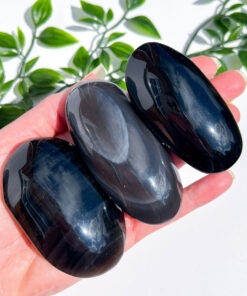 Obsidian palm