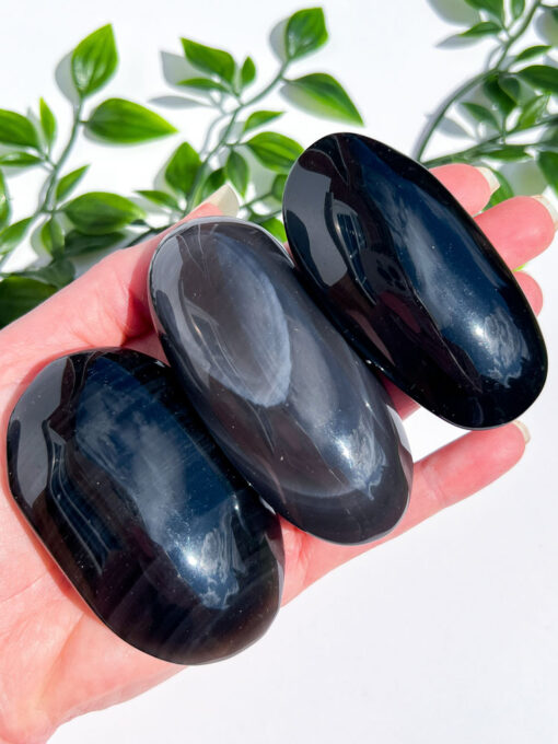 Obsidian palm