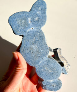 Blue Coral Specimen