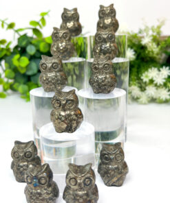 Pyrite owl