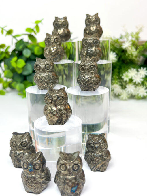 Pyrite owl