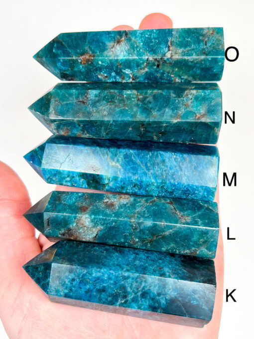 Apatite point