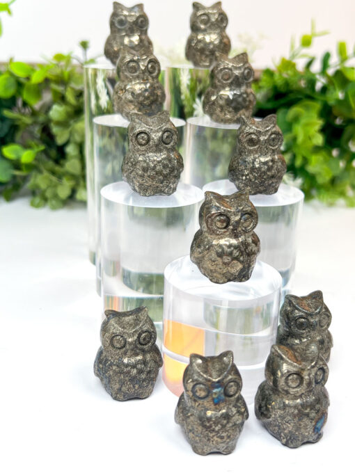 Pyrite owl