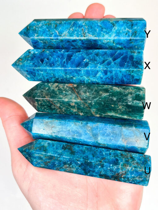 Apatite point