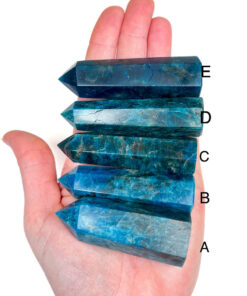 Apatite point