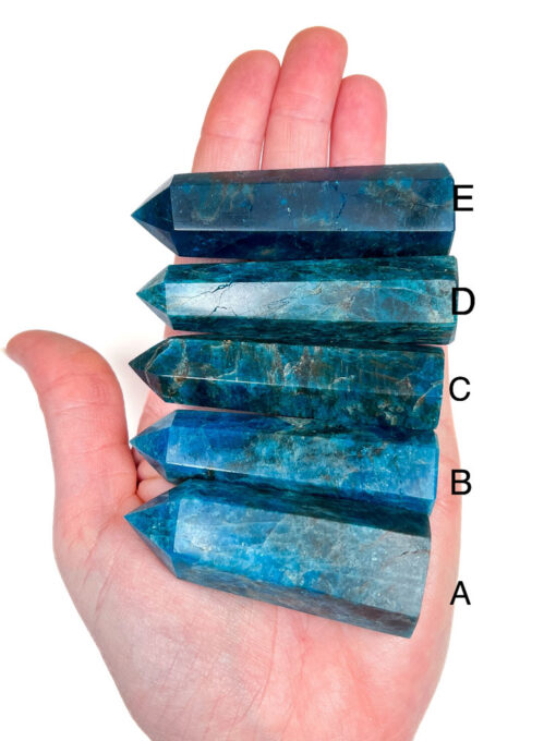 Apatite point