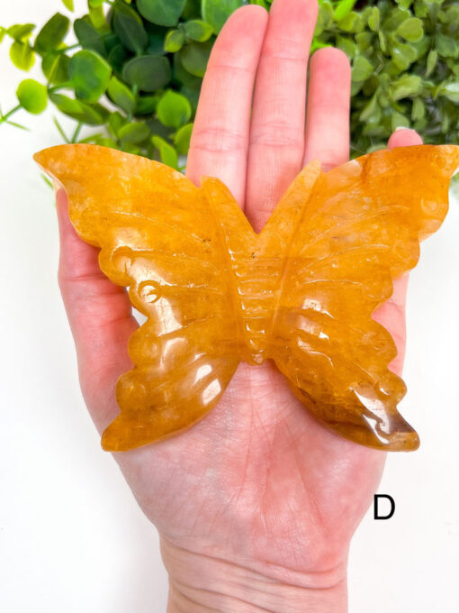 Large Golden Healer Butterfly