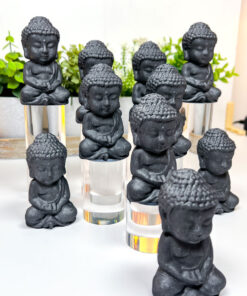 Shungite Buddha Carving