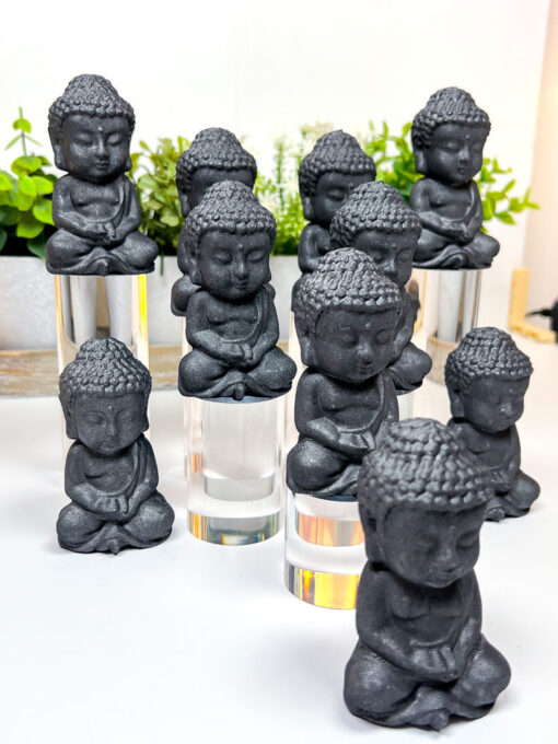 Shungite Buddha Carving