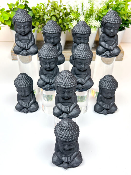 Shungite Buddha Carving