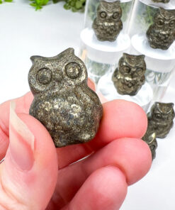 Pyrite owl