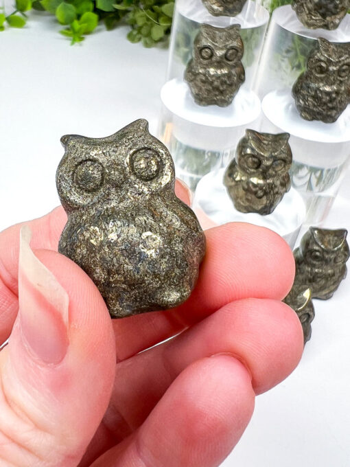 Pyrite owl