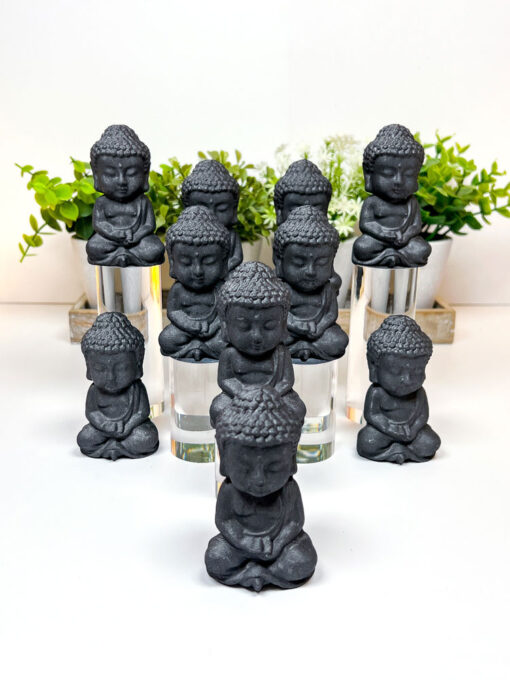 Shungite Buddha Carving