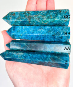 Apatite point