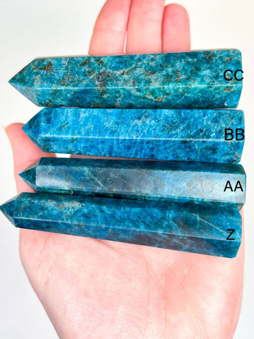 Apatite point