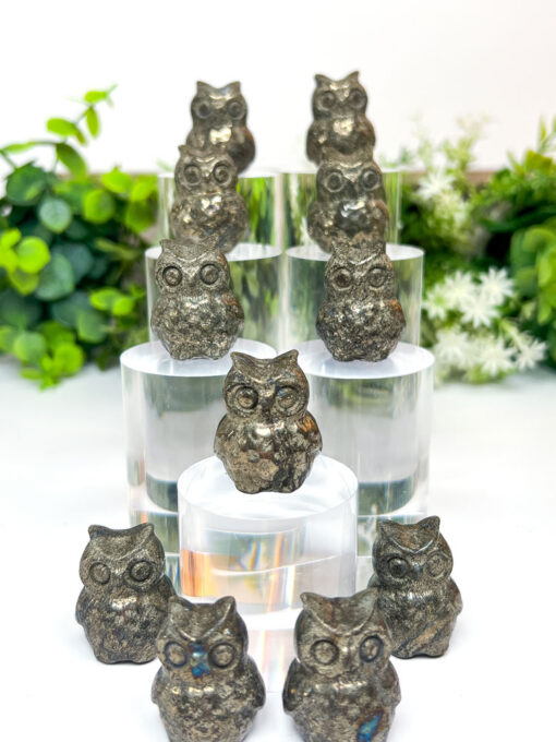 Pyrite owl