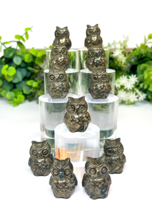 Pyrite owl