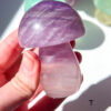 Fluorite Mushroom